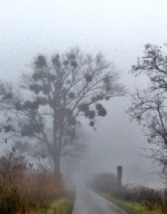 Ungarn im Nebel